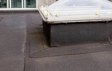 disadvantages of Will Row flat roofs
