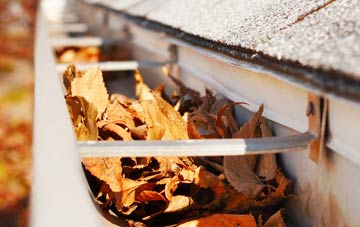 Will Row gutter cleaning companies