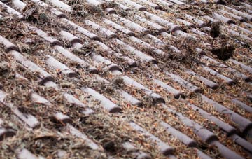 Will Row roof cleaning companies