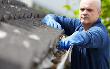 cleaning and inspecting Will Row roofs