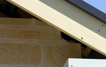 soffit repair Will Row