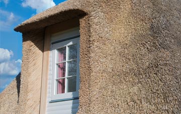 Will Row thatch roof disadvantages