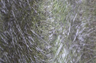 Will Row fibreglass roof work