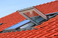 Will Row roof window